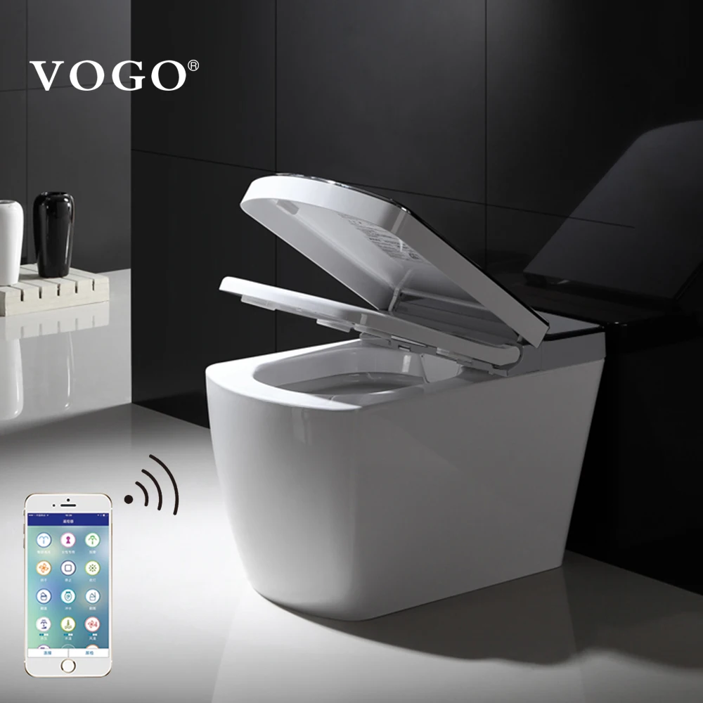 China sanitary ware the top 10 brands european smart toilet