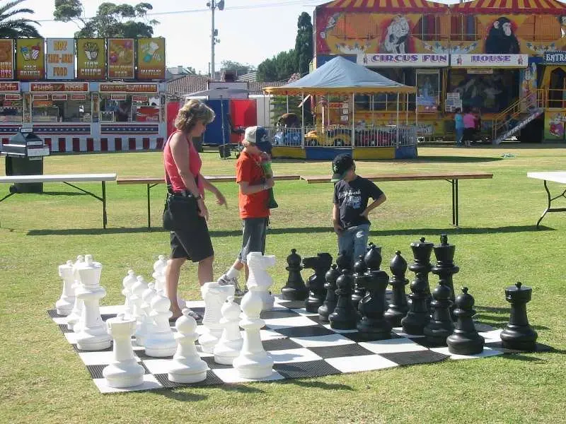 adult chess set game