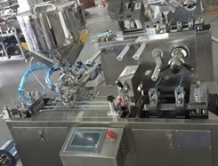 DPP-80 Automatic Blister Packaging Machine