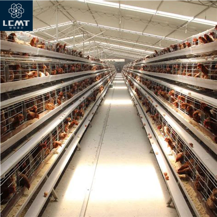 Quality extra thick wire animal laying chicken cage factory supply