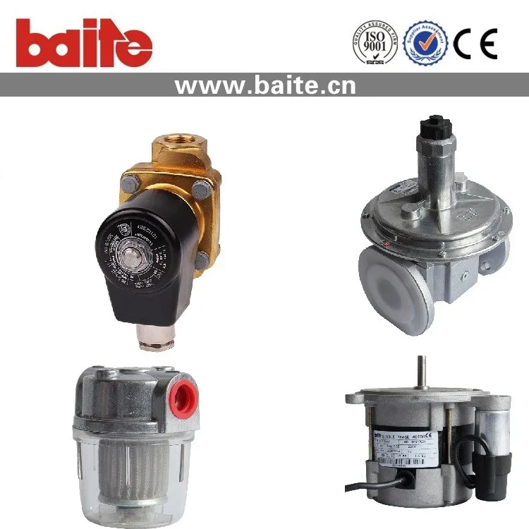 Energy savings BTN120GN parts for gas water heater