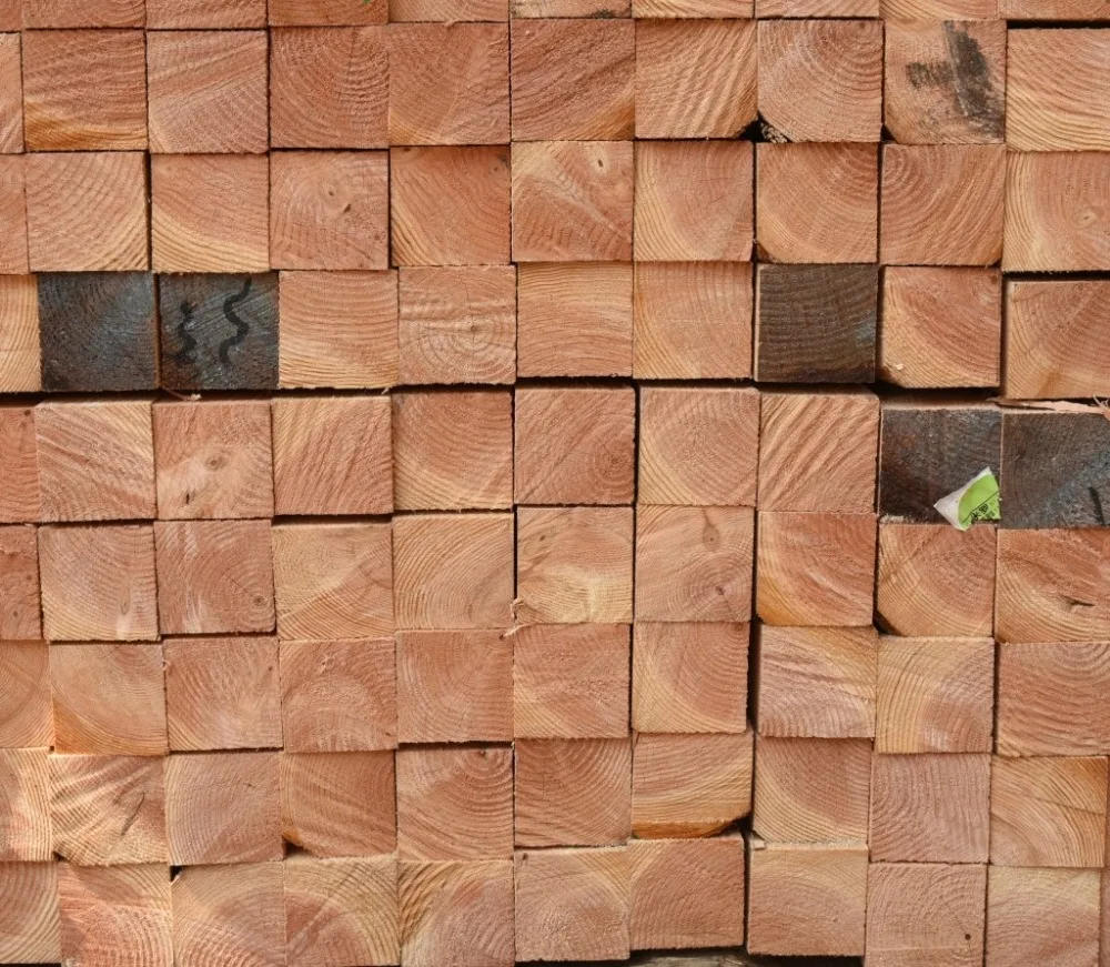 pine wood qualities pinus radiata australia pine characteristics lumber density