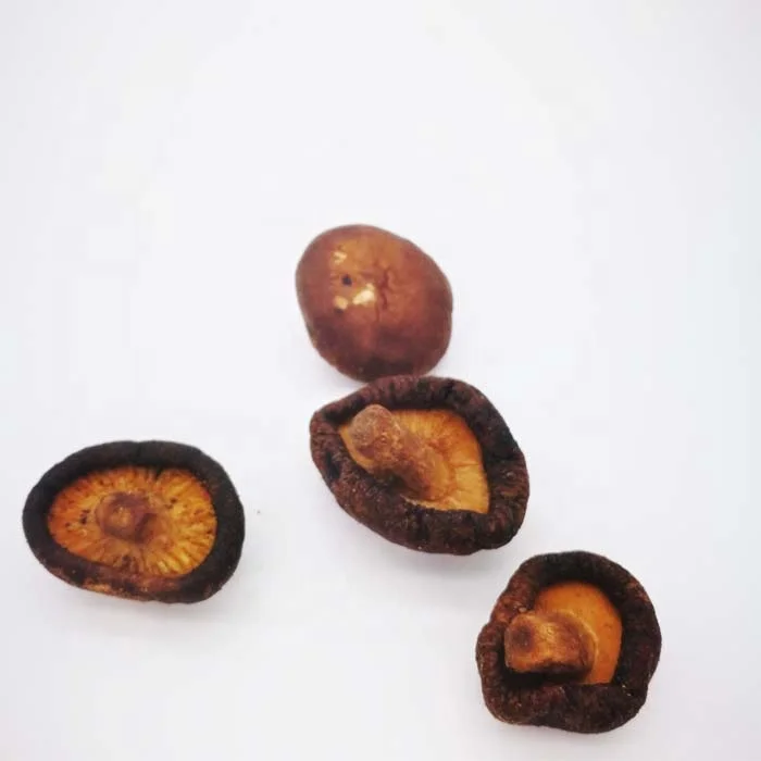 
Higher quality mushroom snacks products bbq flavor mushroom 