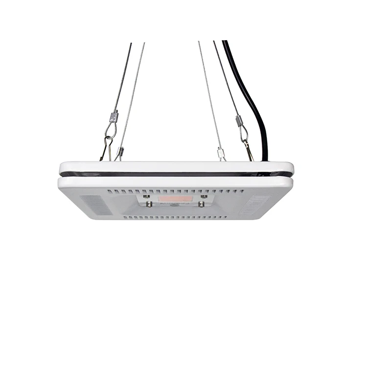 Amazon Hot Sale 100W  Cob LED Grow Kits Light With Led Plant Light For PPFD  Lettuce potato