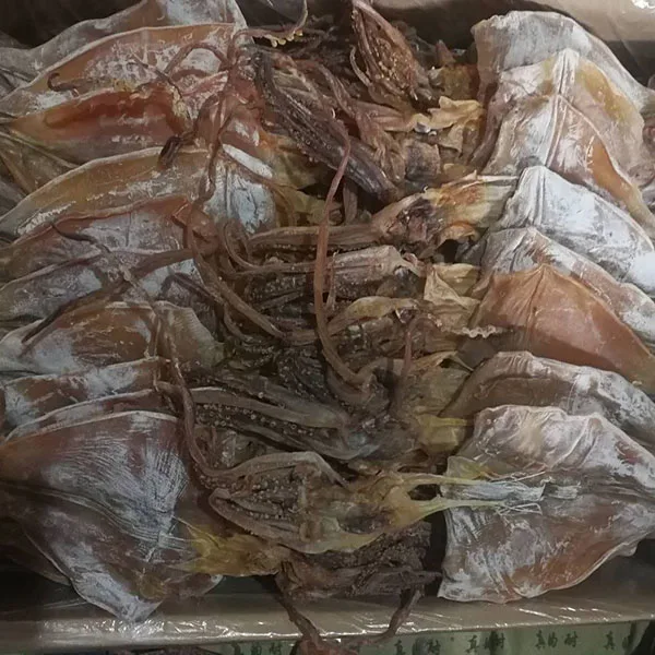 dried salted squids