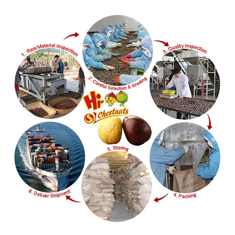 Высокое качество Hebei1Kg свежий каштан