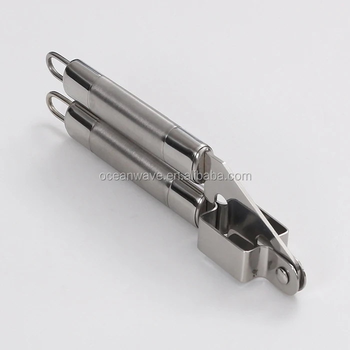 Stainless steel or Silicone ginger garlic vegetable chopper for kitchenware accessories and utensils