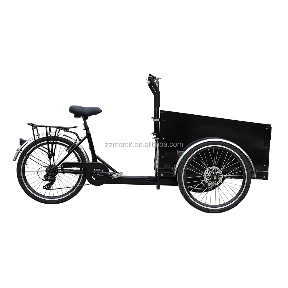 Magazines and Mails Delivery Three Wheel Denmark Electric Trike Cargo Bike for Sale
