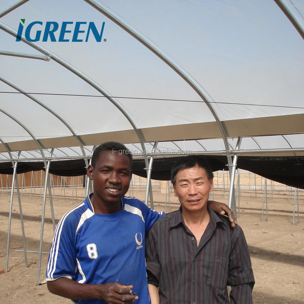 Economical hoop house agricultural modern greenhouse sale