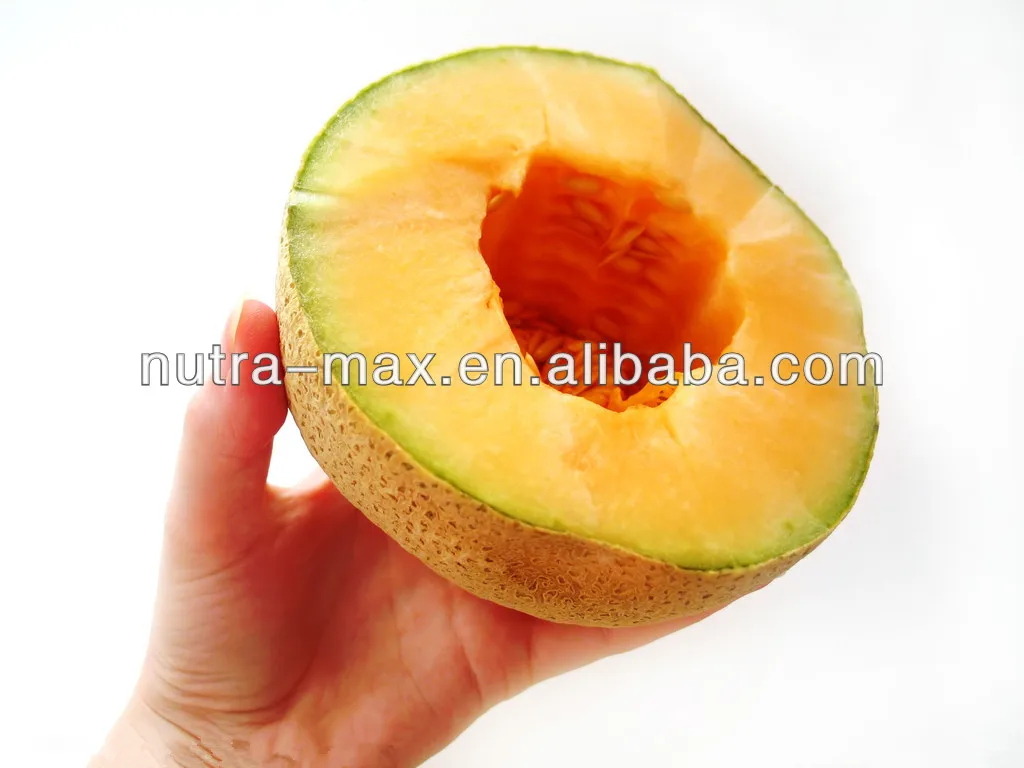 
Free Sample Food & Beverage Cantaloupe Powder Melon Extract Powder 