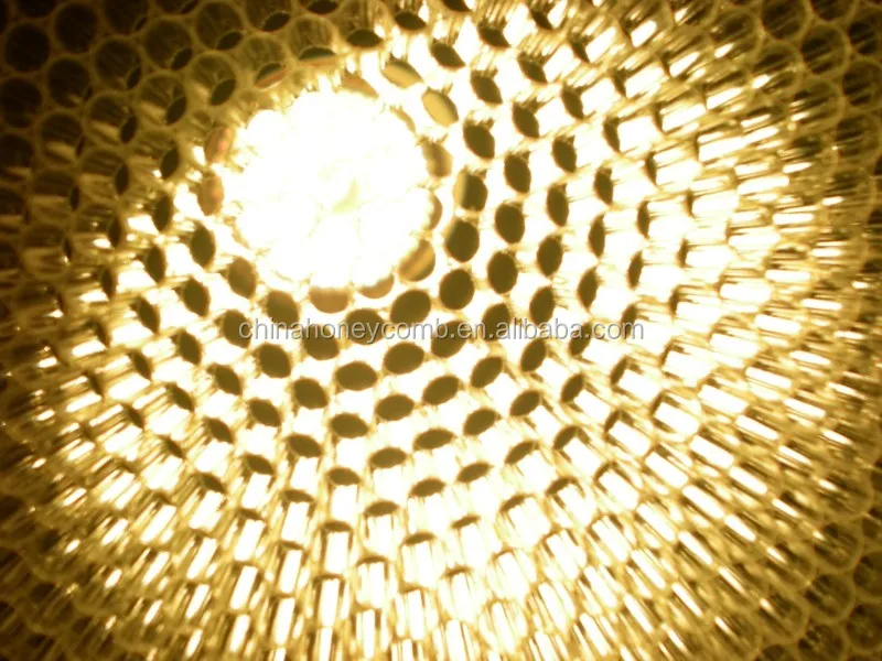 
plastic recycled polycarbonate honeycomb board panel(Building Gallery hall decorative material) 