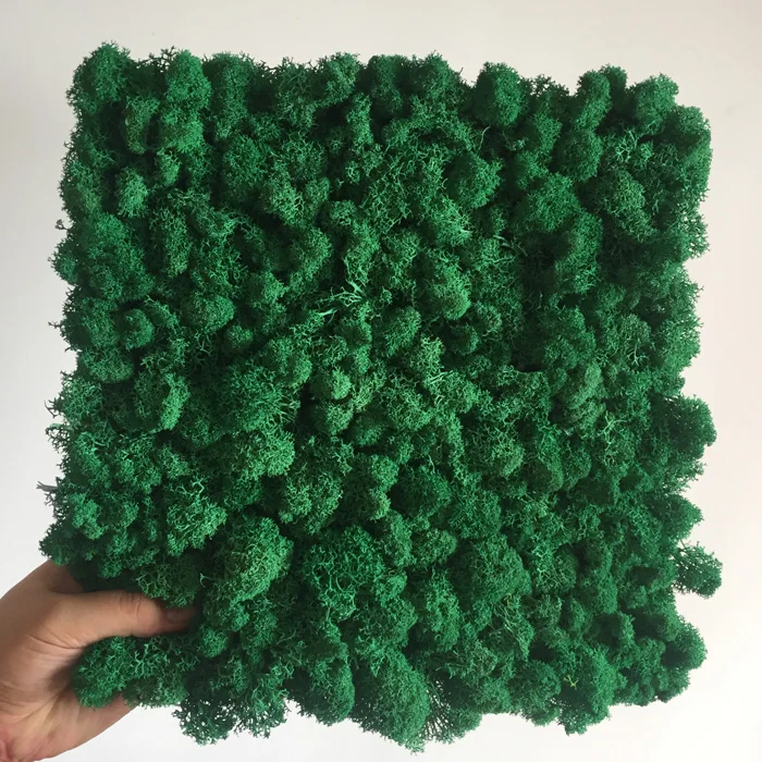 Interior Decoration Office Green Wall Panels Reindeer Preserved Moss