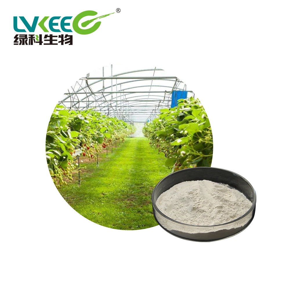 
Lvkee 100BL-200BL probiotics Fermentation fat powder Bacillus Subtilis for planting 