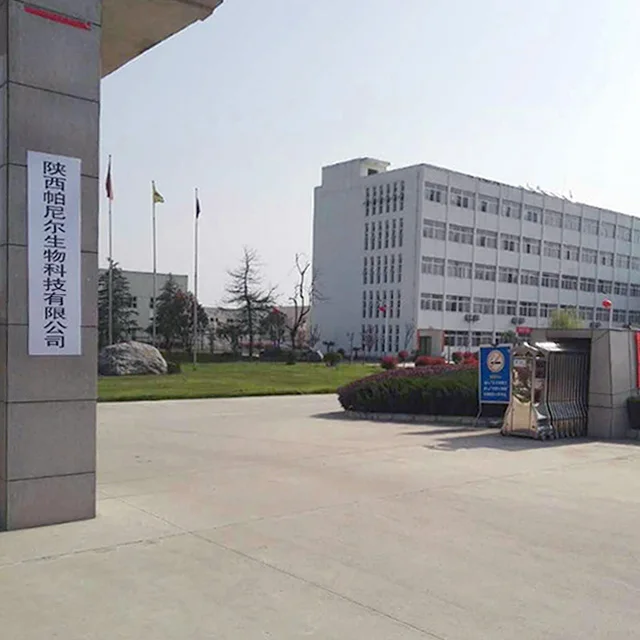 
Factory Supply Pharmaceutical Intermediate Croscarmellose Sodium 