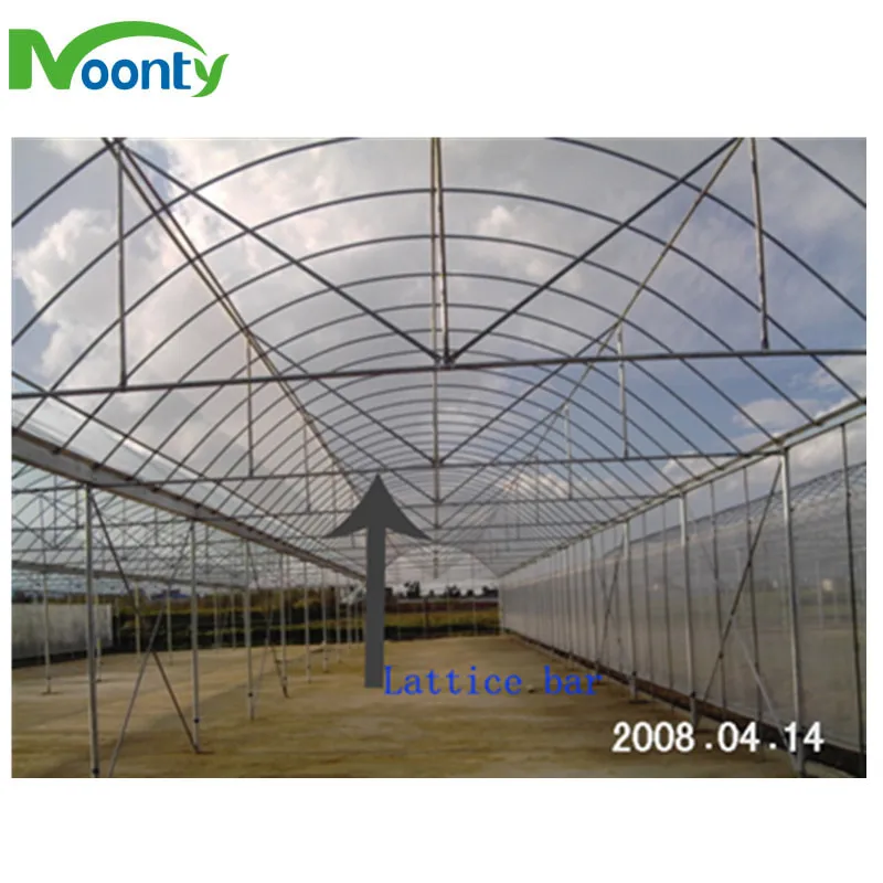 Plastic Film Greenhouse for Hydroponics Lettuce/Cucumber/Tomato/Cherry/Strawberry Growing