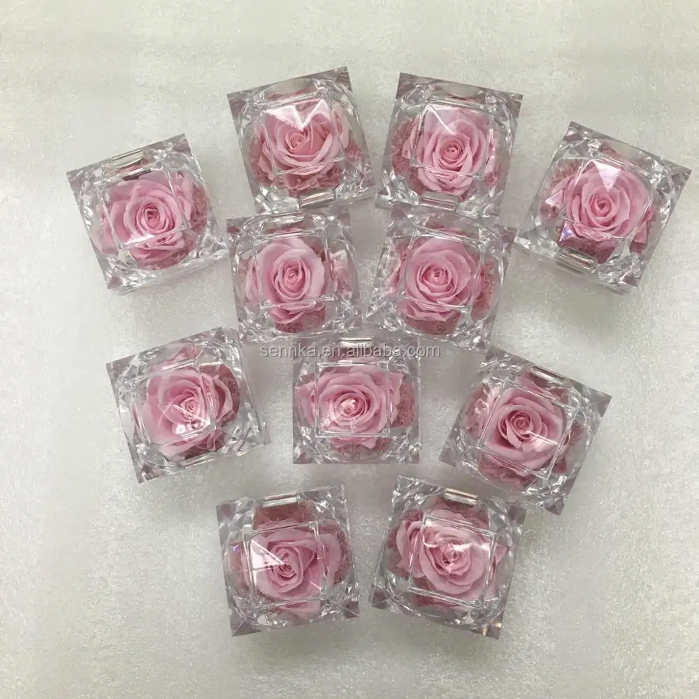 Perfect Christmas Valentines Romantic Gift Long Last Rose Small Preserved Roses in Ring Box