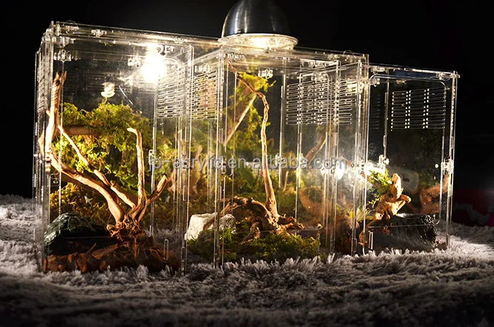 
Acrylic Small Pet Cage Mini Animal Pet Insects Reptiles Terrarium Reptiles Box 