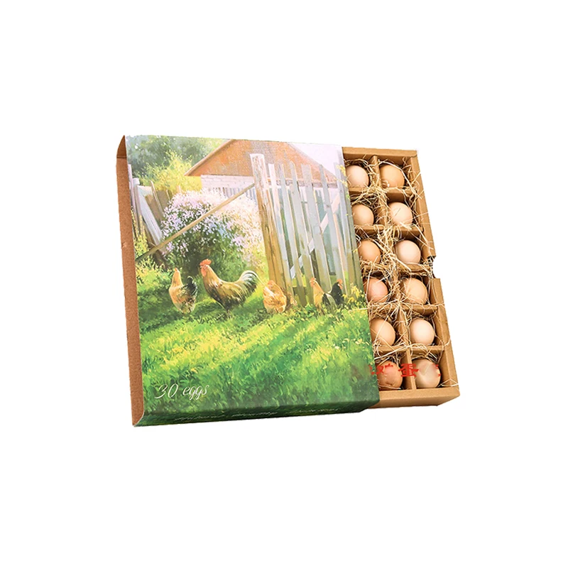 Custom wholesale egg cartons transportation shipping egg box