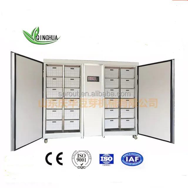 
soy bean sprout/automatic sprout machine/yellow bean 