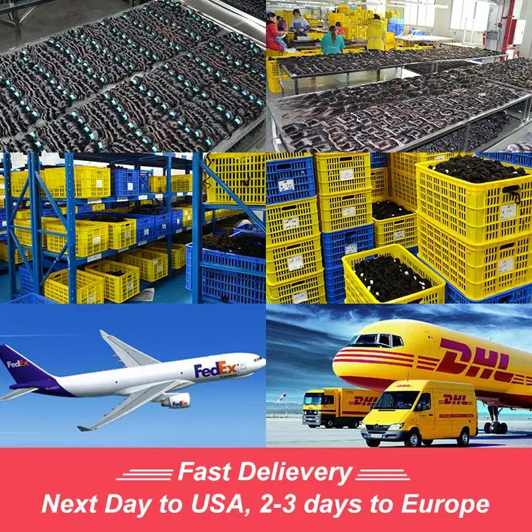 Большой запас дешевый короткий тонкий парик из корейских волос для мужчин