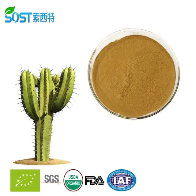 
Wholesale Herbal Prickly Pear Nopal Cactus Powder 
