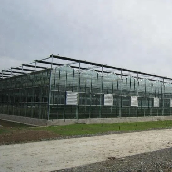 
Reliable venlo glass greenhouse with hydroponics and aeroponic system 