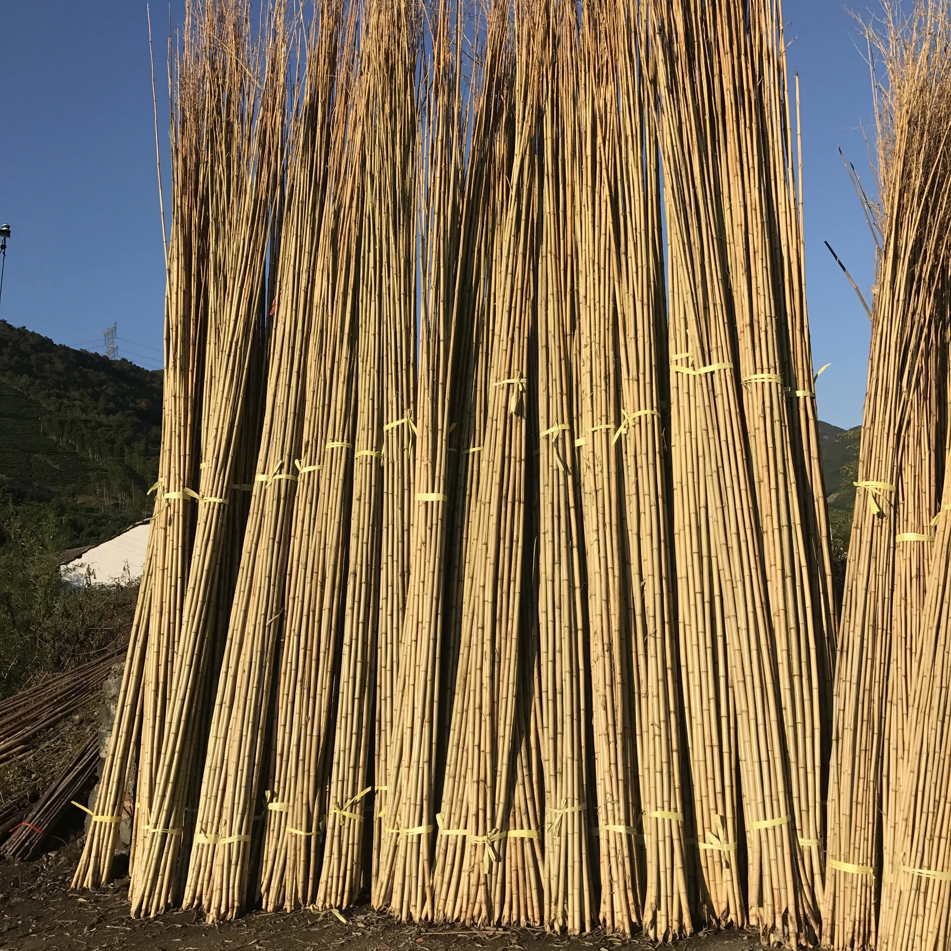 FD Wholesale straight bamboo poles/building construction material