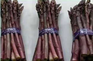 
Suntoday Red purple hybrid F1 asparagus seeds 10gr/bag 