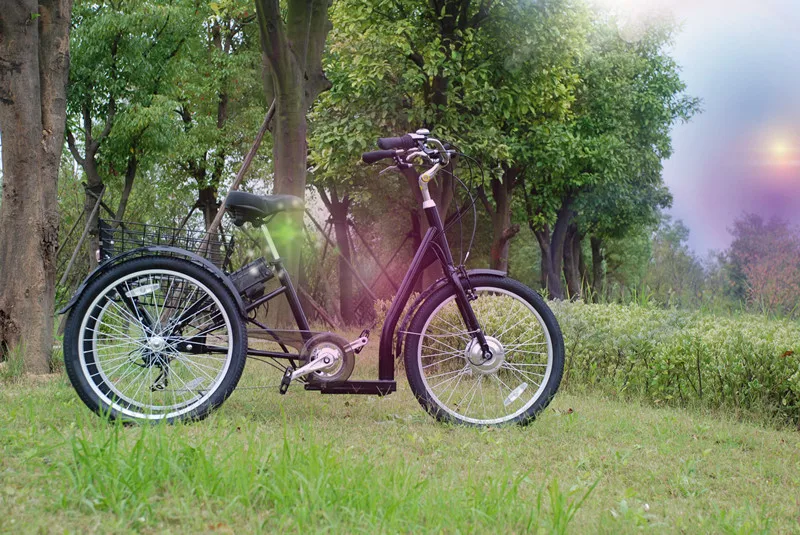 Shop Pedal Bike 3 Wheels Cargo Tricycle Tricycle Cargo Bicycle GW 7019E with 7 Speeds 24 Inch Women Steel Aluminum Alloy Street