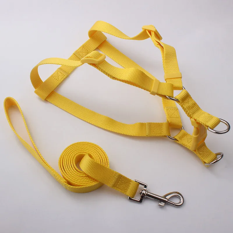 2020 новый стиль высококачественный цветной удобный поводок для собаки
