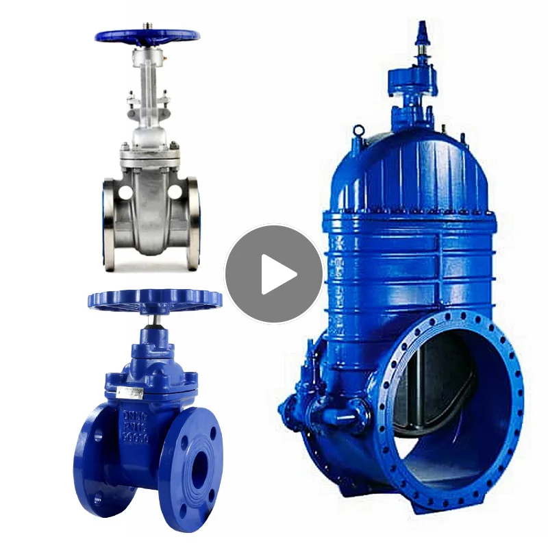 Задвижка 30ч39р ду100