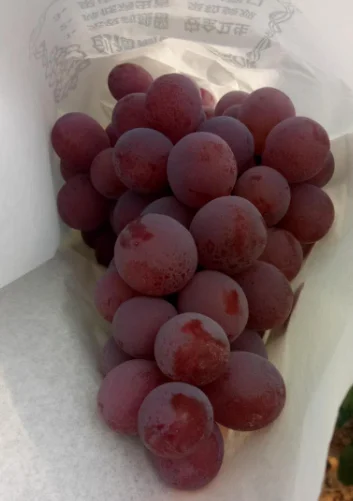 Красный виноград