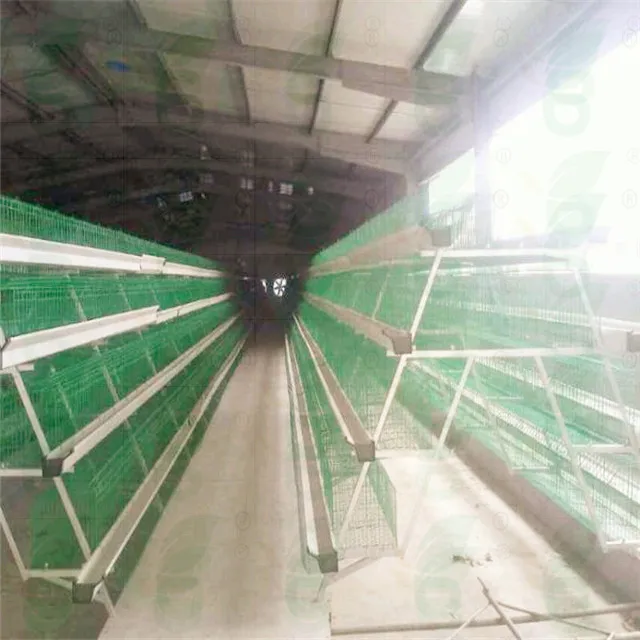  Хорошая цена 4 яруса куриная Батарейная клетка для кур-несушек используемые птицеводства оборудование