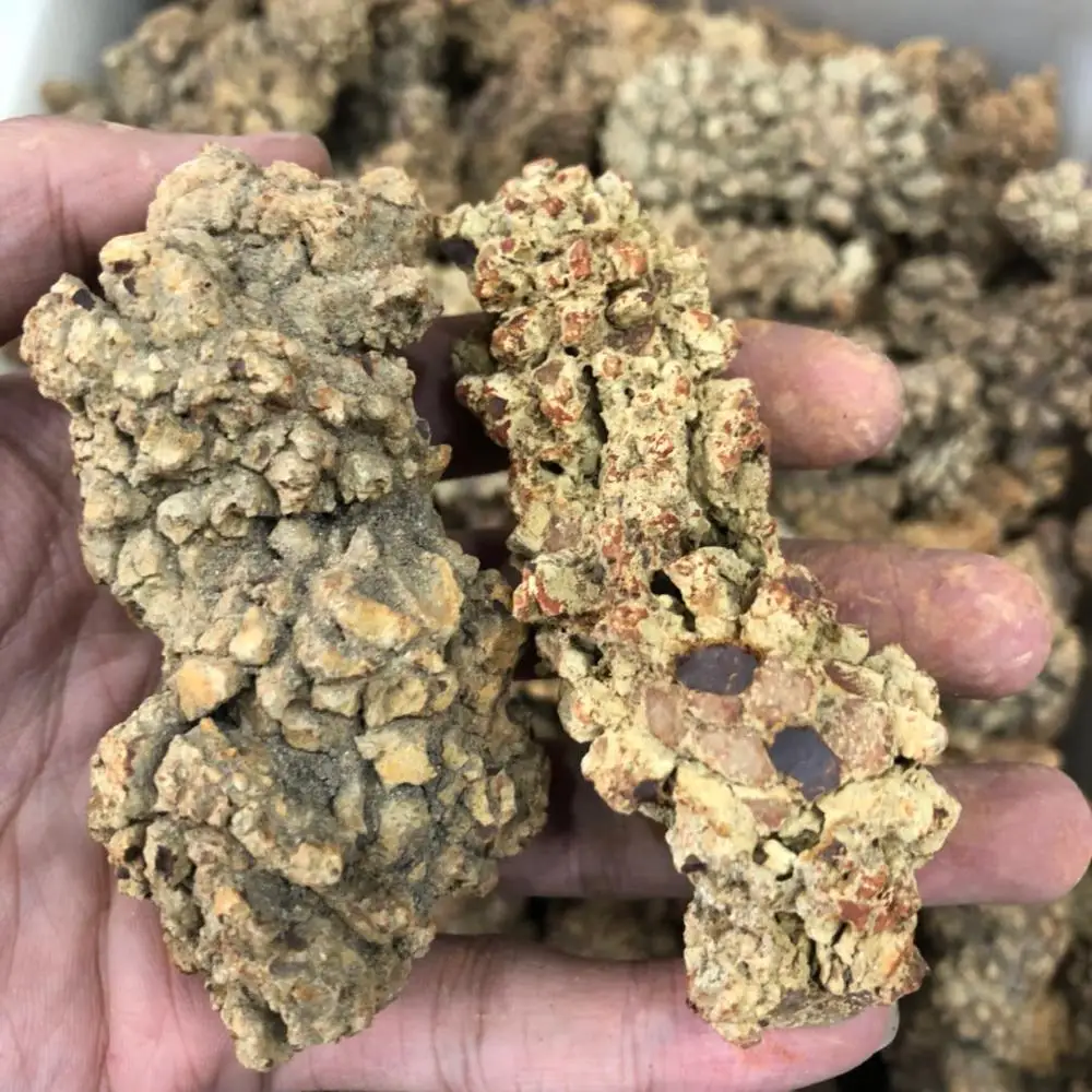 Natural Monazite Specimen Dinosaur Faeces Fossil Stone Rare Earth Minerals Dinosaur Excrement Fossil