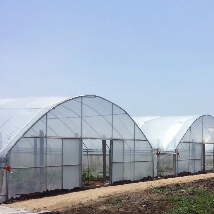 Agricultural Equipment Steel Frame Serre Tunnel Greenhouse