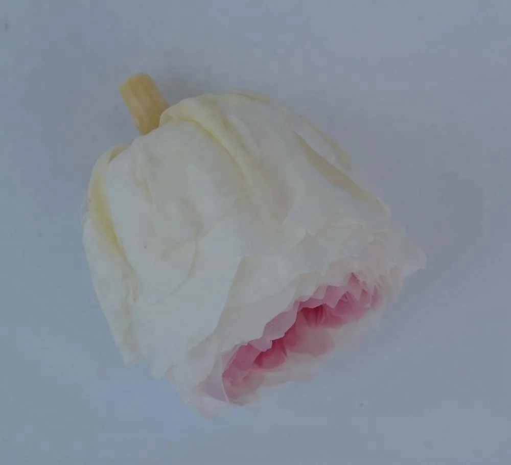 Best Online Export Sells Fresh Preserved Austin Roses Flowers for Key Chain