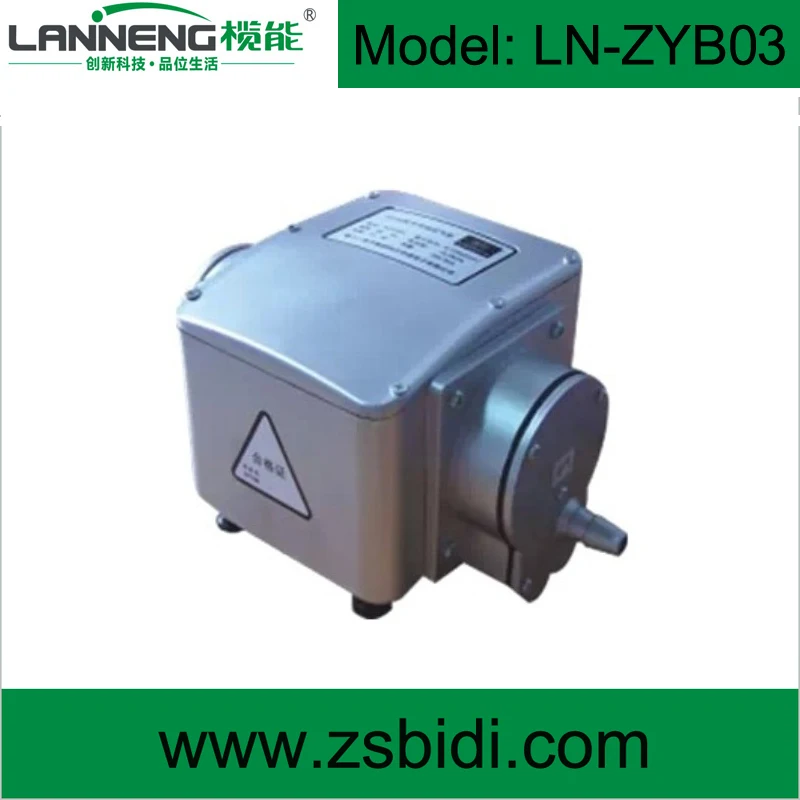 Автоматический насос для бустера давления биогаза 20 Вт переменного