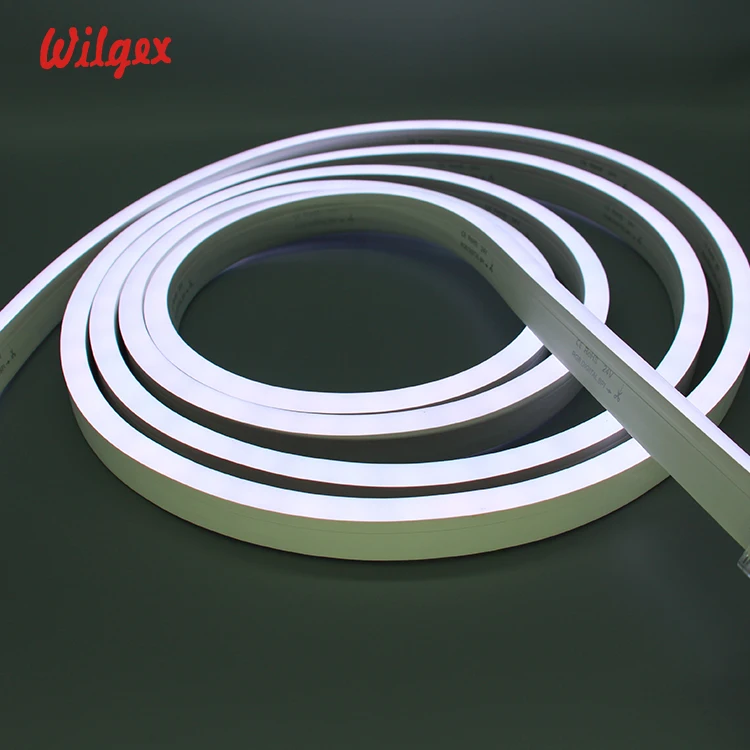 IP68 Swimming Pool Light Underwater Led Neon Flex Tube 10x20mm Ultra Thin RGB 5050 PWM DMX 12V 24V 110V 220V Strip Tape Rope