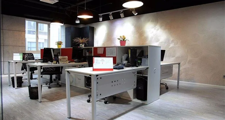 Linton 12pcs Portable White Goose Feather Badminton Shuttlecocks for Outdoor Sport Training Ball