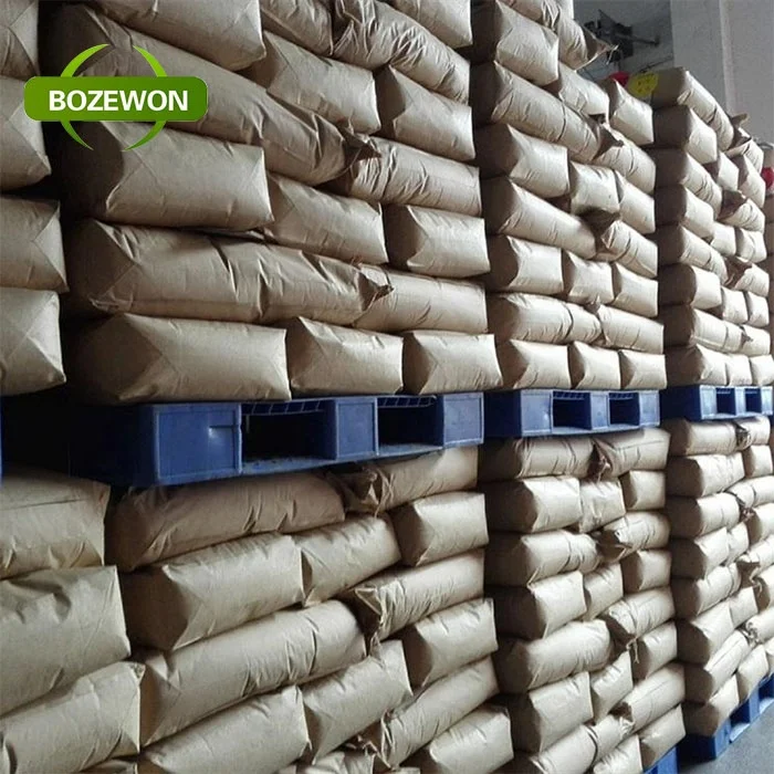 Non-GMO Rice Protein concentrate powder