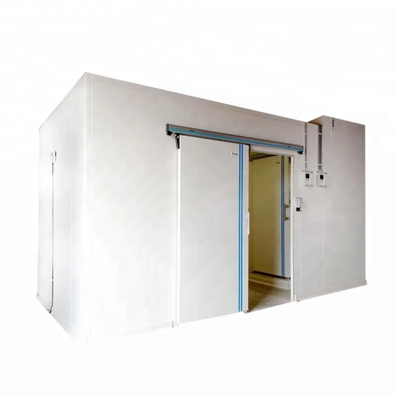 Time Limit Promotion Cold Storage Cost for Frozen Meat and Fish