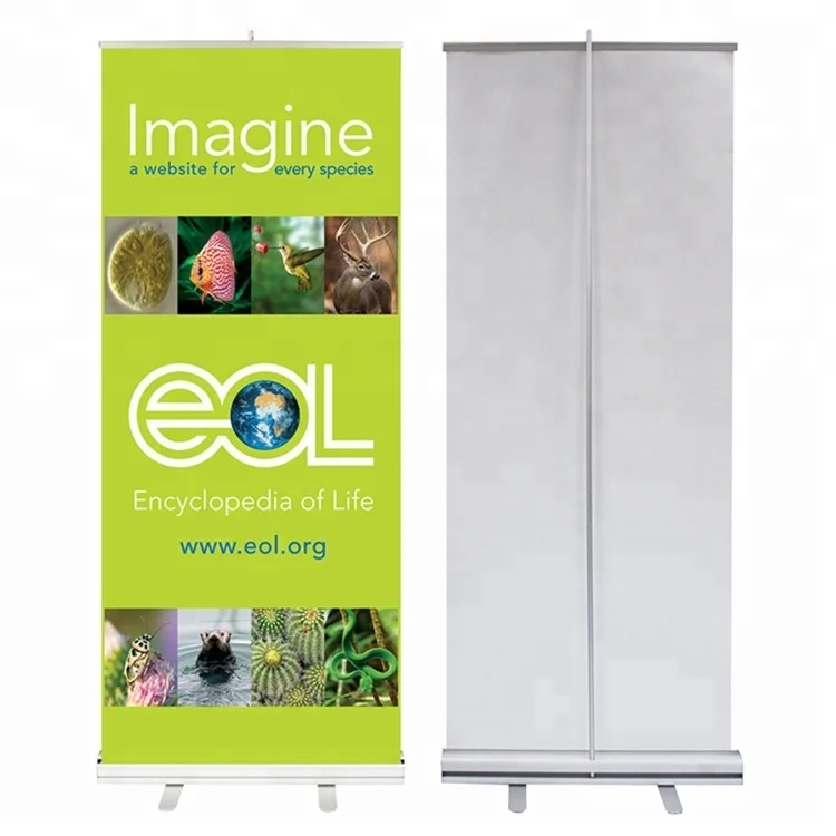Custom Printing Economical retractable mini roll up banner