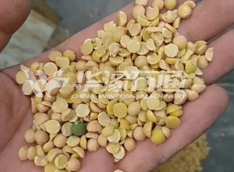 DTP26*2 Soybean and Peas Peeling and Splitting Machine