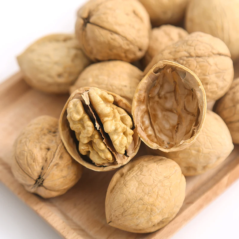 
whole raw walnut in shell walnut export 