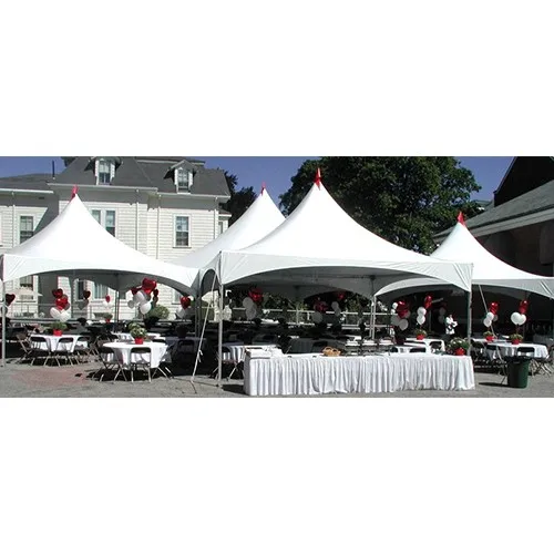 Новый дизайн, сад пагода палатка OEM