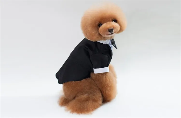 Teddy Formal Pet Dog Cat Clothes Shirt Bow Tie Suit Tuxedo Dog Coat for Wedding
