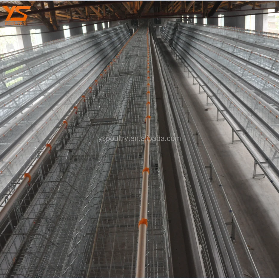 
Hot Galvanized A Type Battery Chicken Layer Cage 