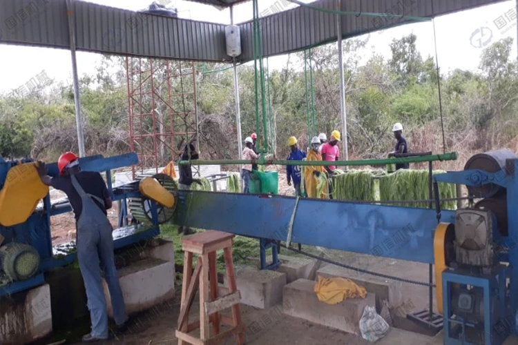 wholesale price 2T/h agricultural fibers automatic sisal hemp extracting machine