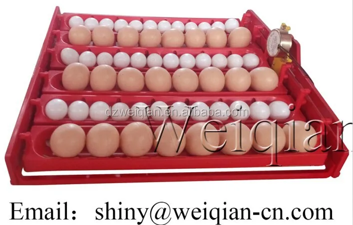 WQ-60 mini poultry egg incubator with inverter for 12v solar incubator 60eggs solar eggs incubator