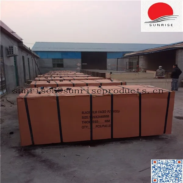 SUNPLY film faced plywood 1220 x 2440 mm